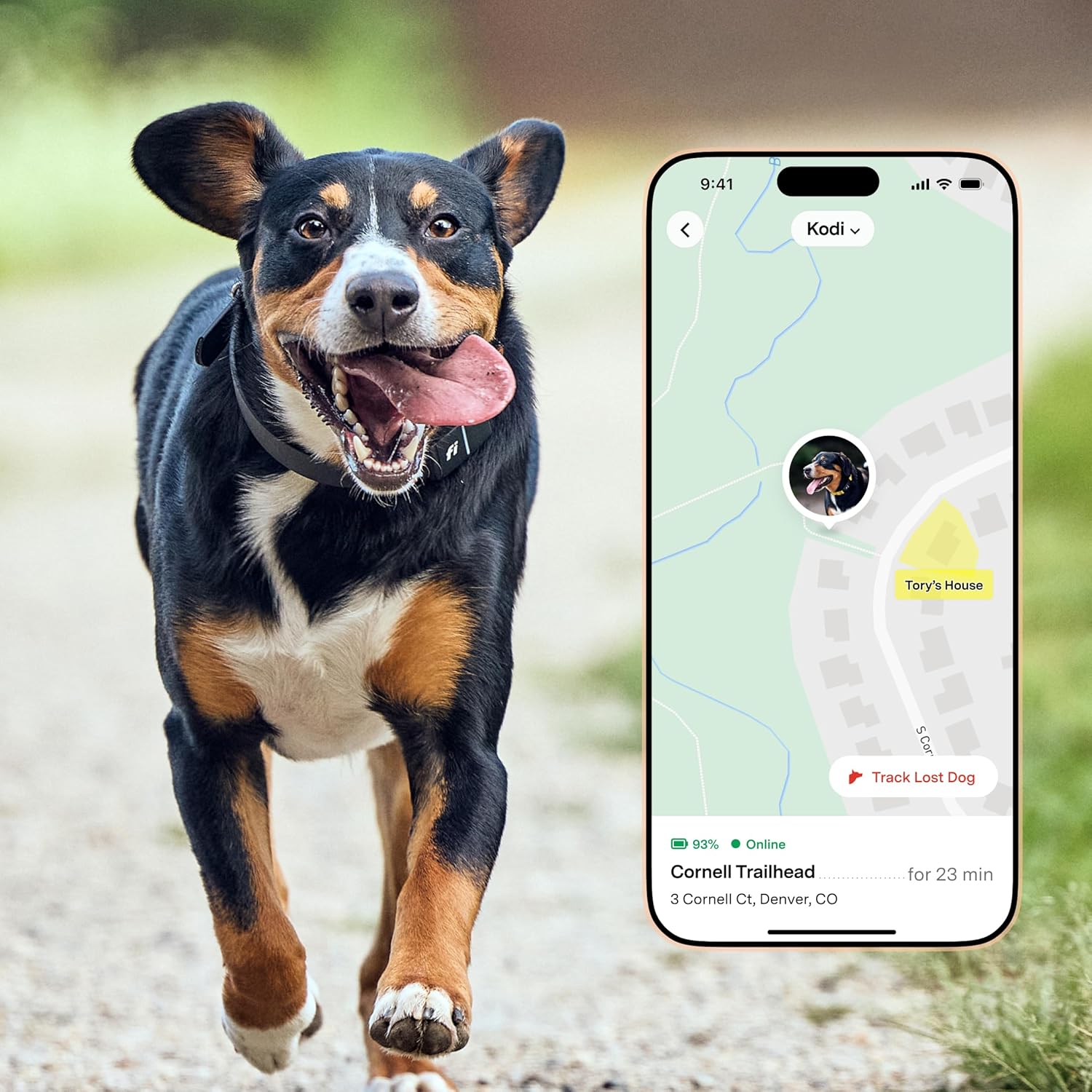 best gps dog tracker without subscription